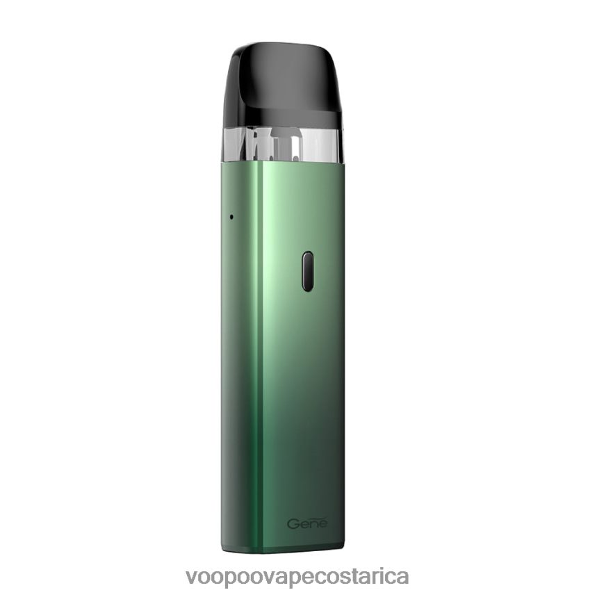 bosque verde